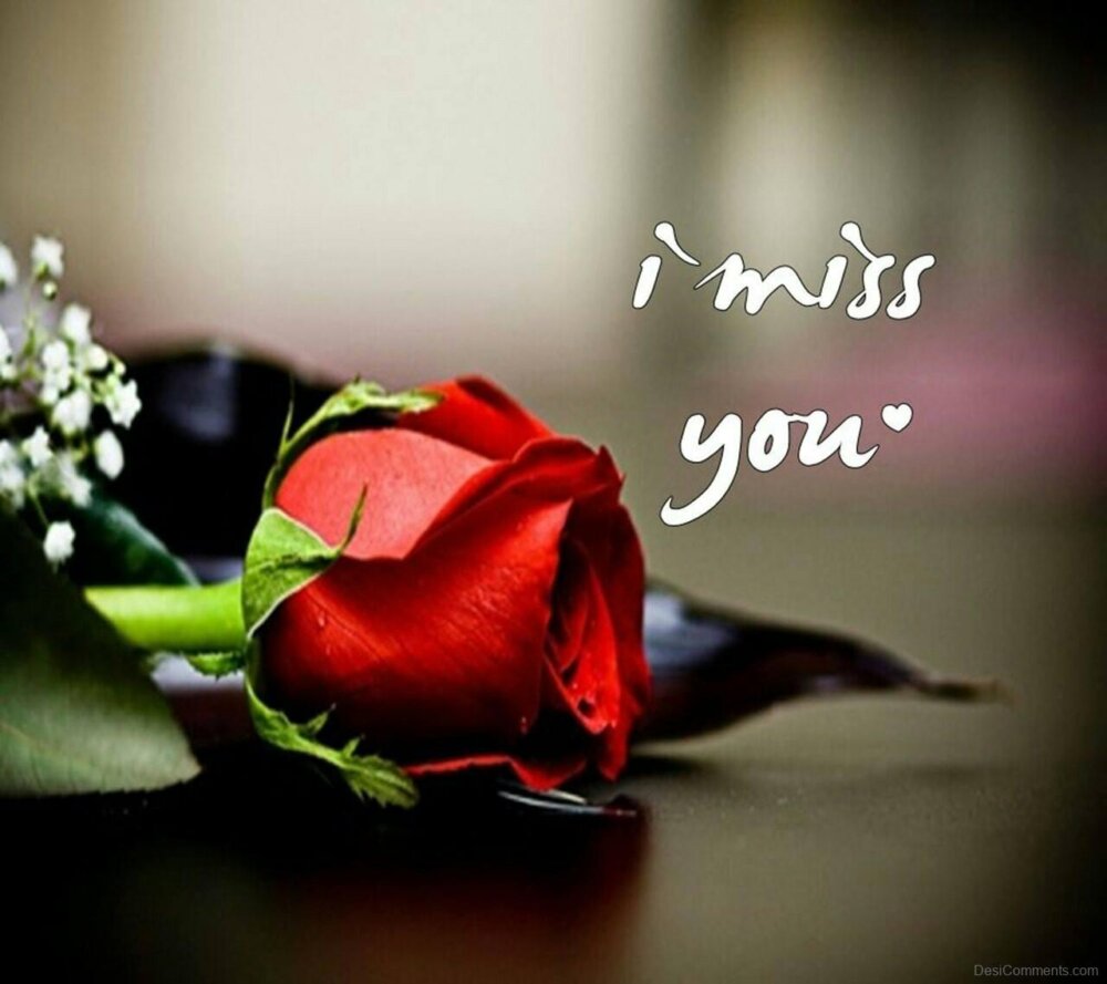 I Miss You With Red Rose On The Side