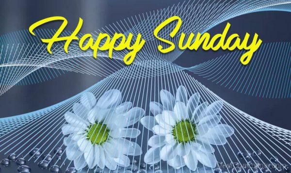 Happy Sunday to You 