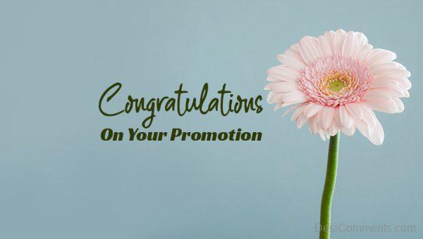 Congratulations On Promotion
