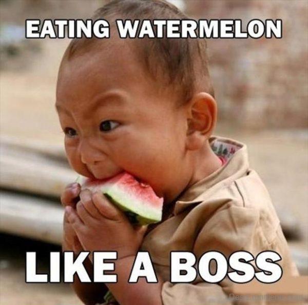 Eating Watermelon Like A Boss Funny Pic