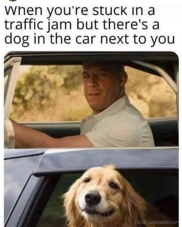 When There’s A Dog In Another Car Meme