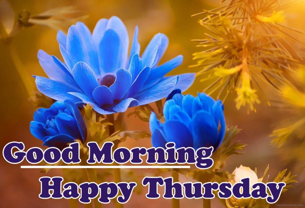 Good Morning, Happy Thursday Floral Image - DesiComments.com