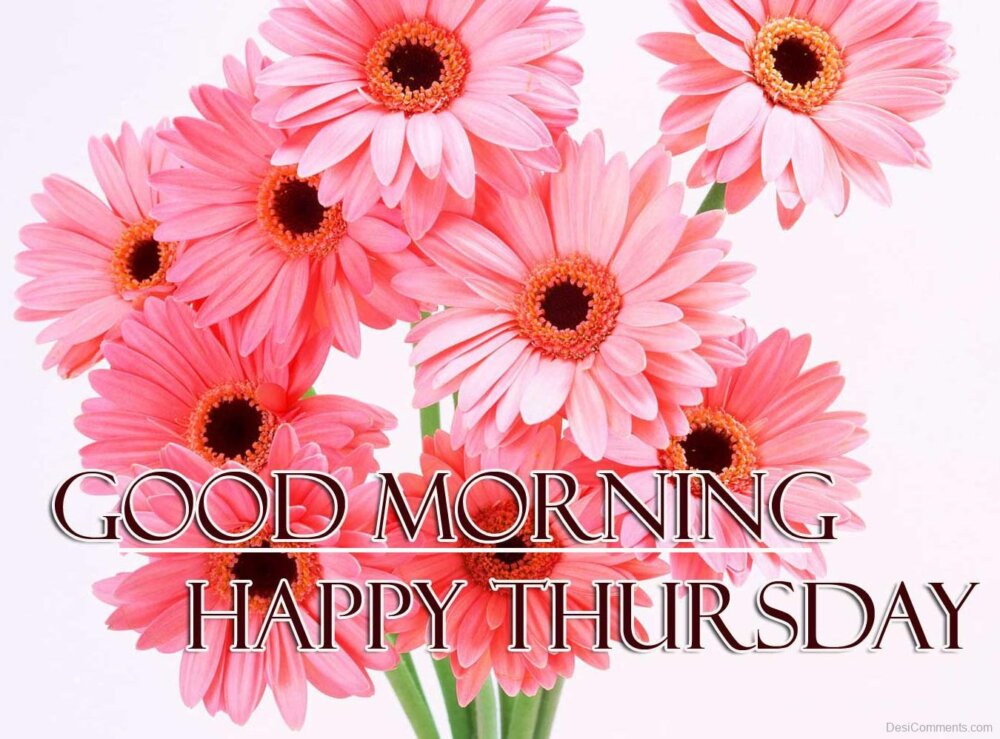 Good Morning Thursday Wish With Pink Flowers - DesiComments.com