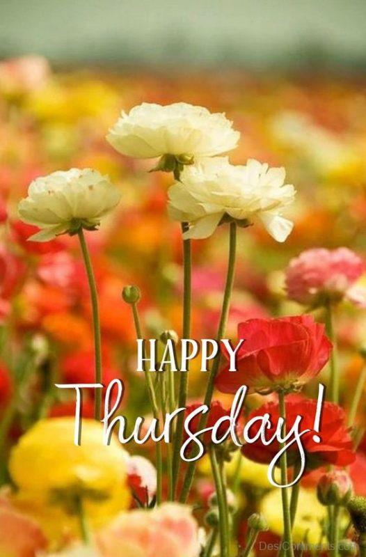 Good Morning Happy Thursday