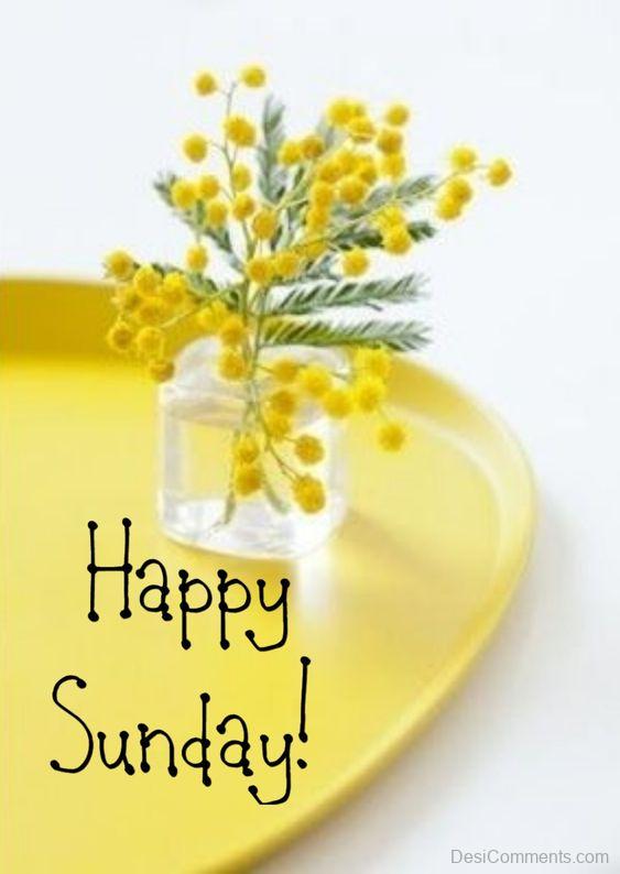 Happy Sunday With Yellow Flowers Pic