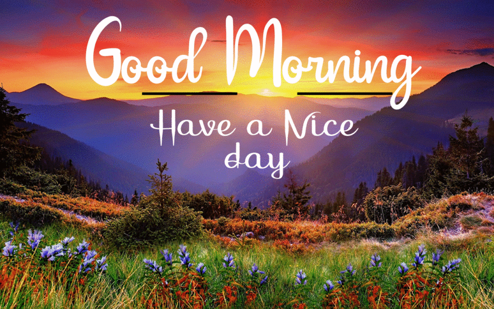Good Morning Have A Nice Day - DesiComments.com