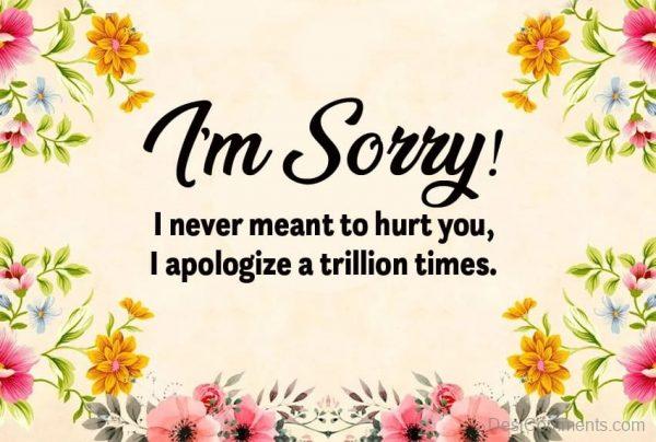 I’m Sorry Message