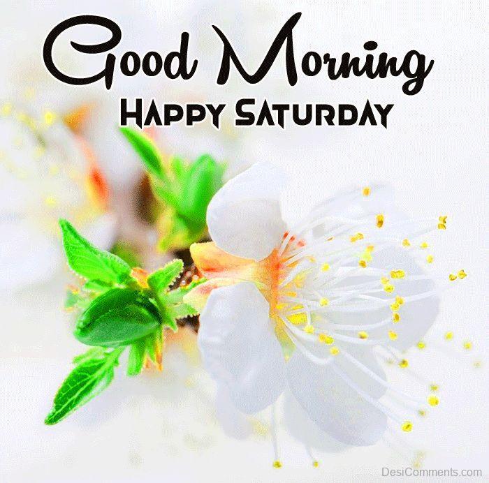 Good Morning Saturday  DesiCommentscom