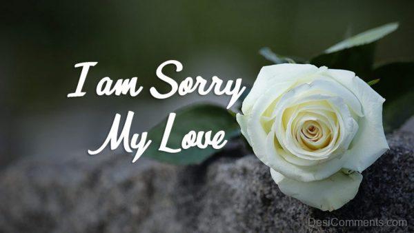 I Am Sorry Love
