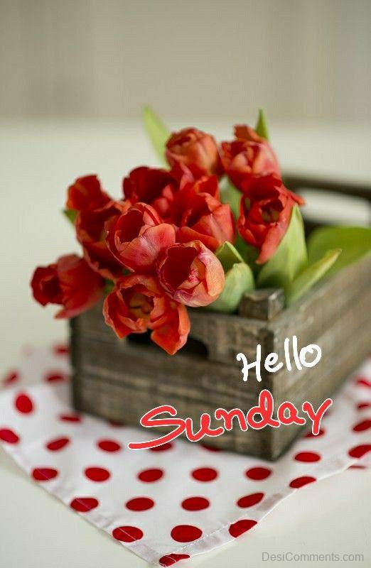 Hello Sunday