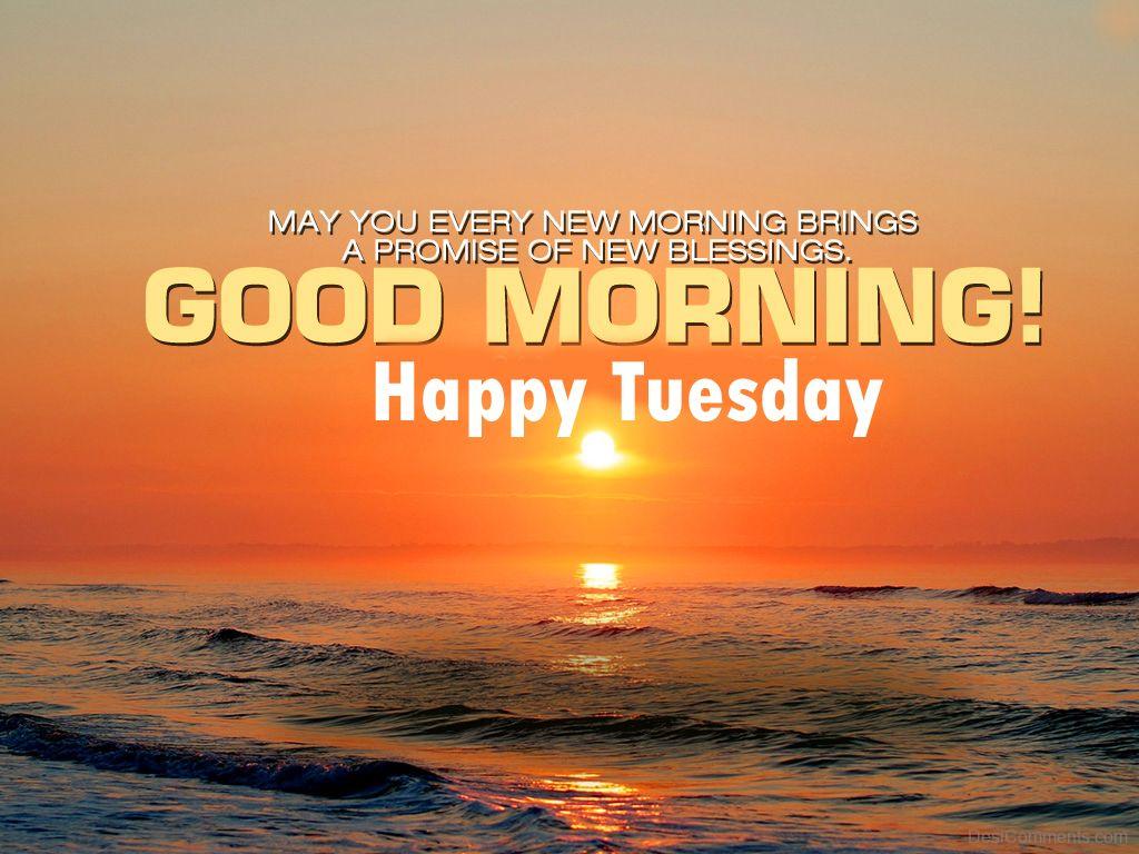 Good Morning, Happy Tuesday Image - DesiComments.com