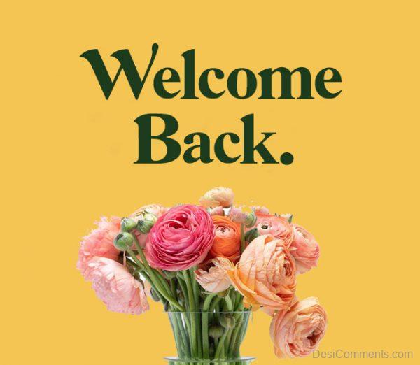 Welcome back