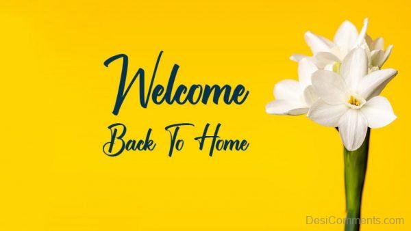 Welcome back To Home