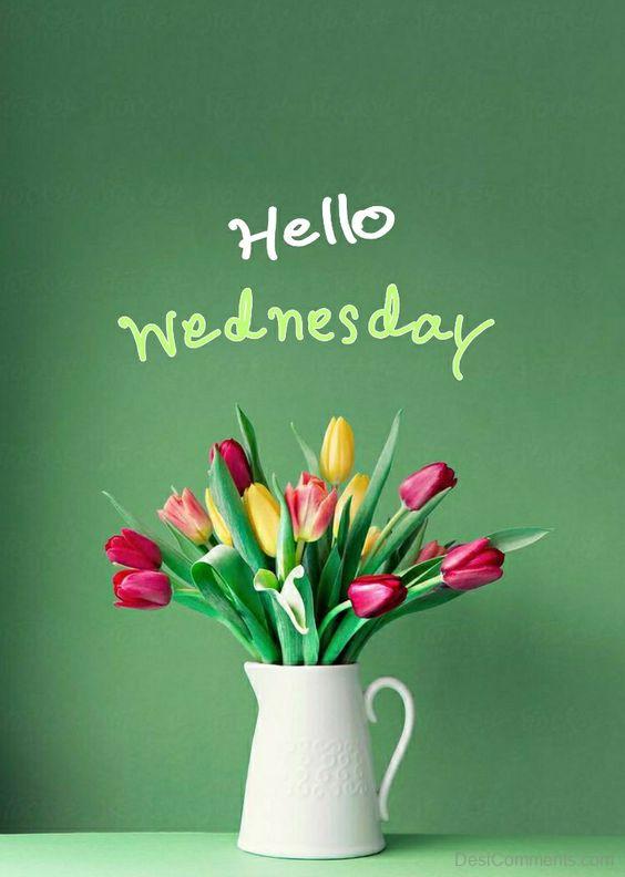 Hello Wednesday