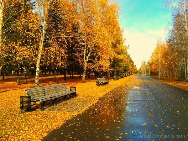 Park In Autumn Season
