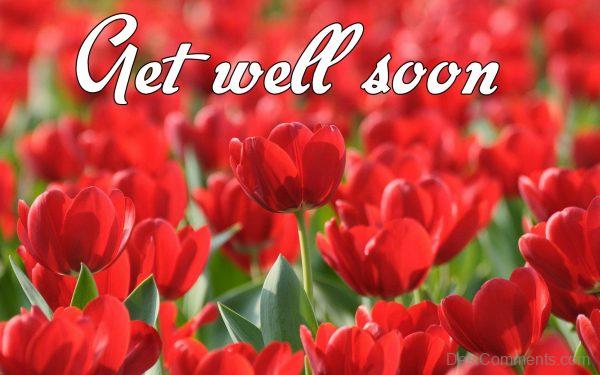 Get Well  Soon With Red Roses