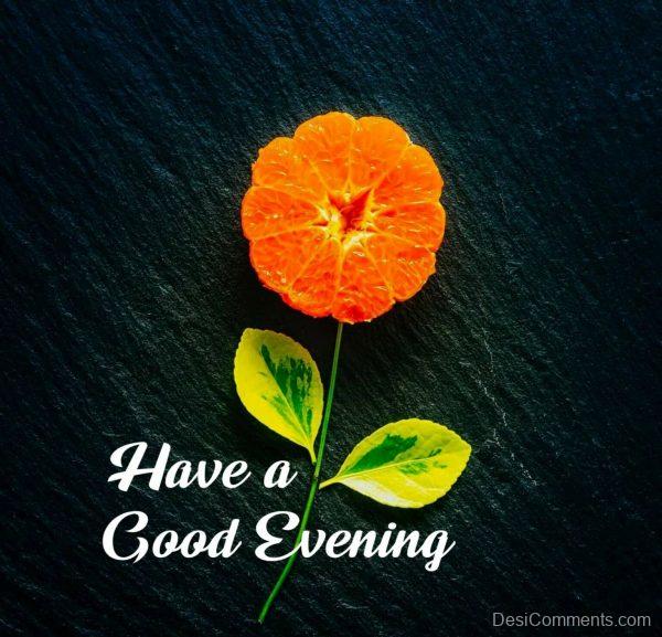 Good Evening Orange Flower