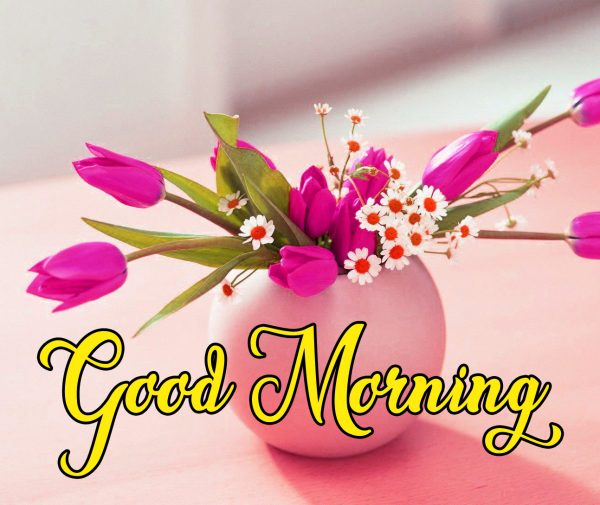 Good Morning Flowers Image