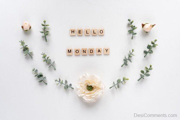 Hello Monday