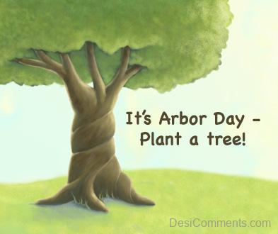 It’s Arbor Day