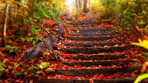 Stairs In Autumn