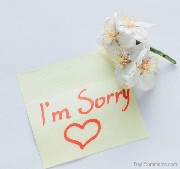 I'm Sorry Note