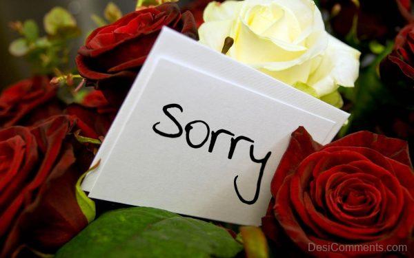 Sorry With Flowers