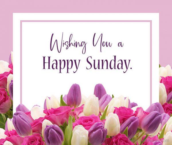 Wishing You A Happy Sunday