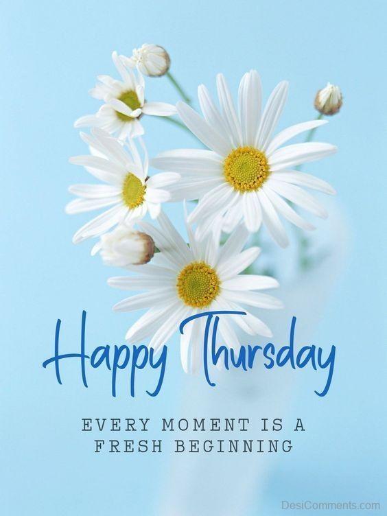 Thursday Wish With Daisy Flowers