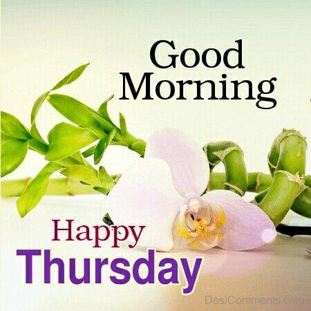 Happy Thursday Dear