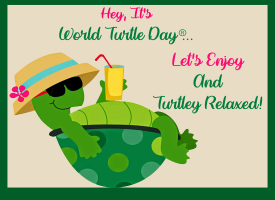 Let’s Enjoy This World Turtle Day - DesiComments.com