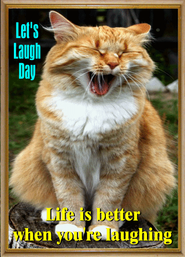 Life Is Better, When You’re Laughing