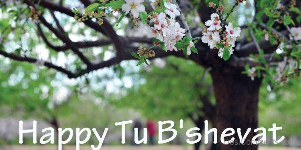 Happy Tu B’Shevat To You