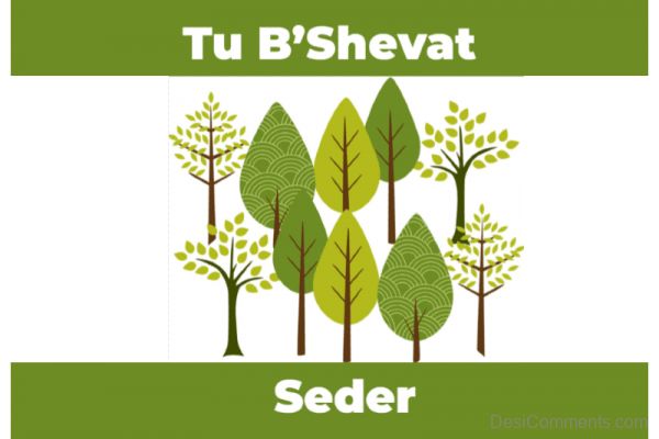 Tu B’Shevat Seder