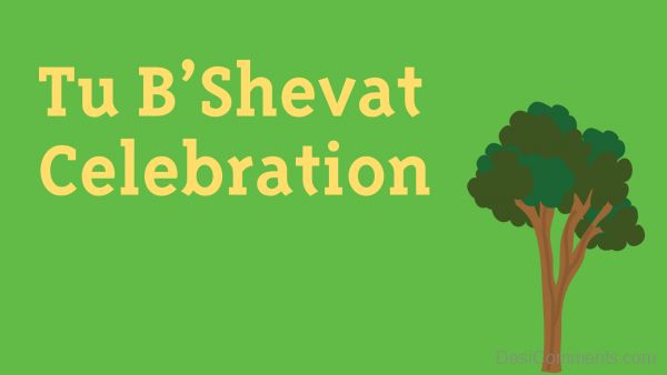 Tu B’Shevat Celebration