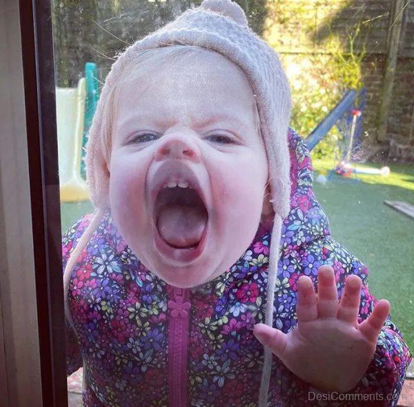 Baby Licking The Window