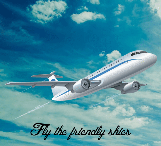 Fly The Friendly Skies