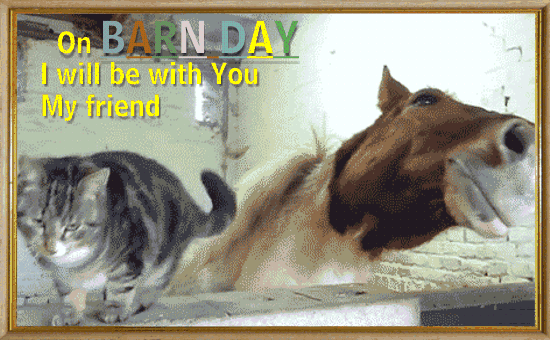 On Barn Day, I Will Be With You My Friend