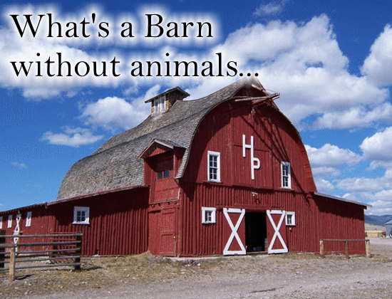 What’s A Barn Without Animals