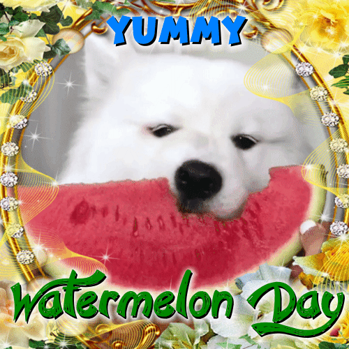 Yummy Watermelon Day