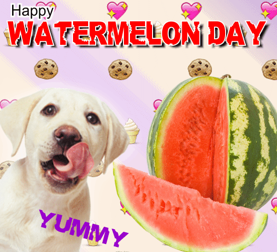 Happy Watermelon Day, Yummy