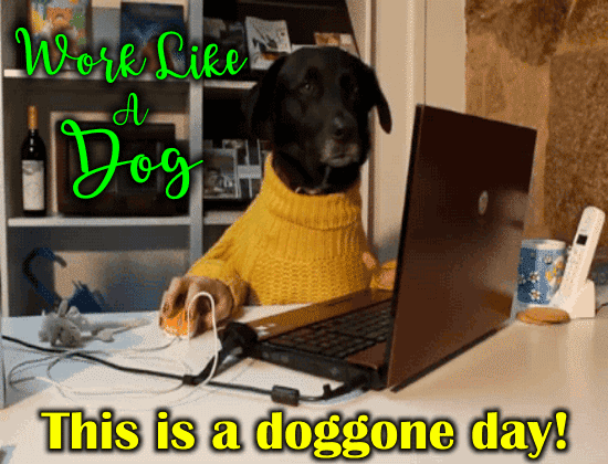 This Is A Doggone Day