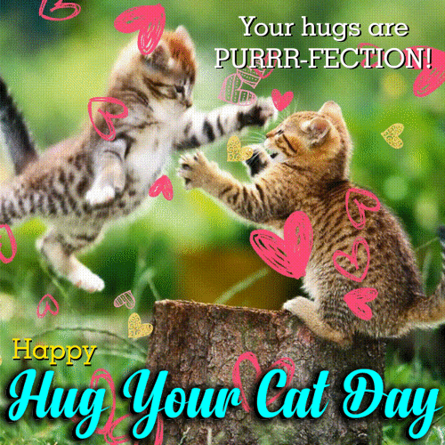 Your Hugs Are Purrr-fection!