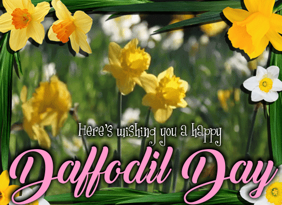 Here's Wishing You A Very Happy Daffodil Day