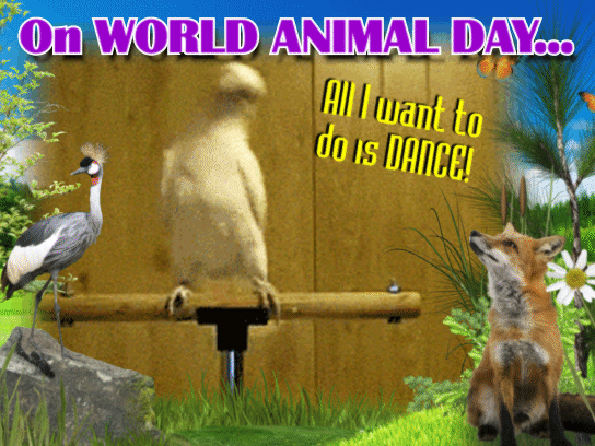 On World Animal Day
