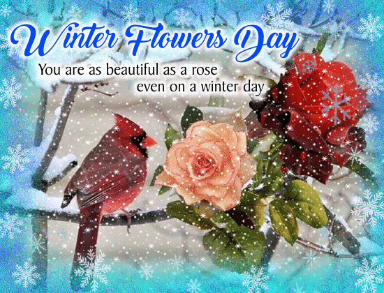 Winter Flowers Day Gif