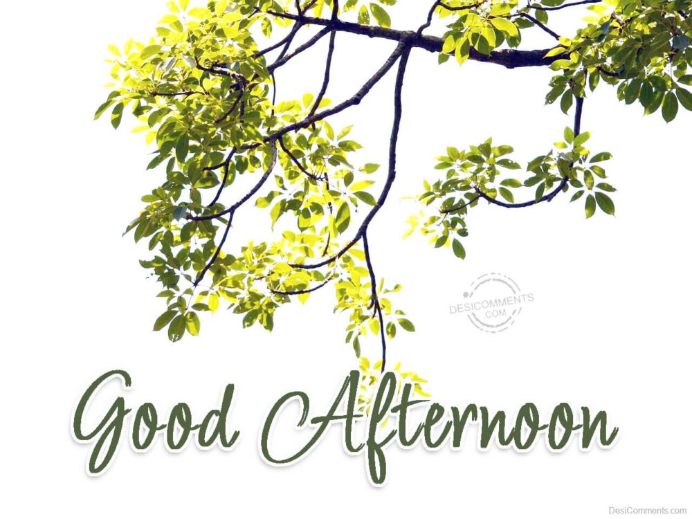 Best Good Afternoon Pic DesiComments best-good-afternoon-pic-desicomments