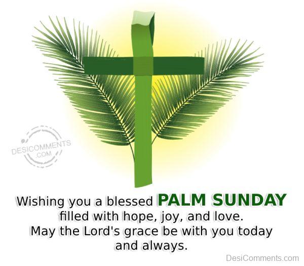 Wishing You A Blessed Plam Sunday - Desi Comments