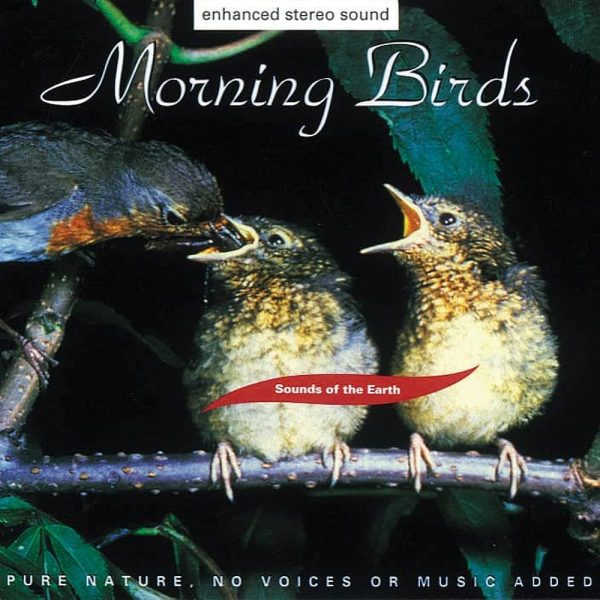 Awesome Good Morning Wish Birds Image