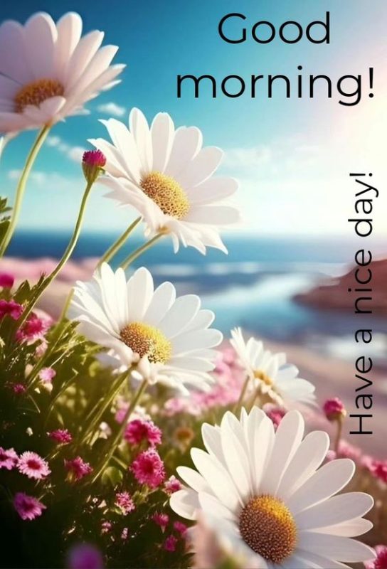 Beautiful Flower Good Morning Image